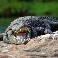 น้ำท่วมศรีสะเกษ