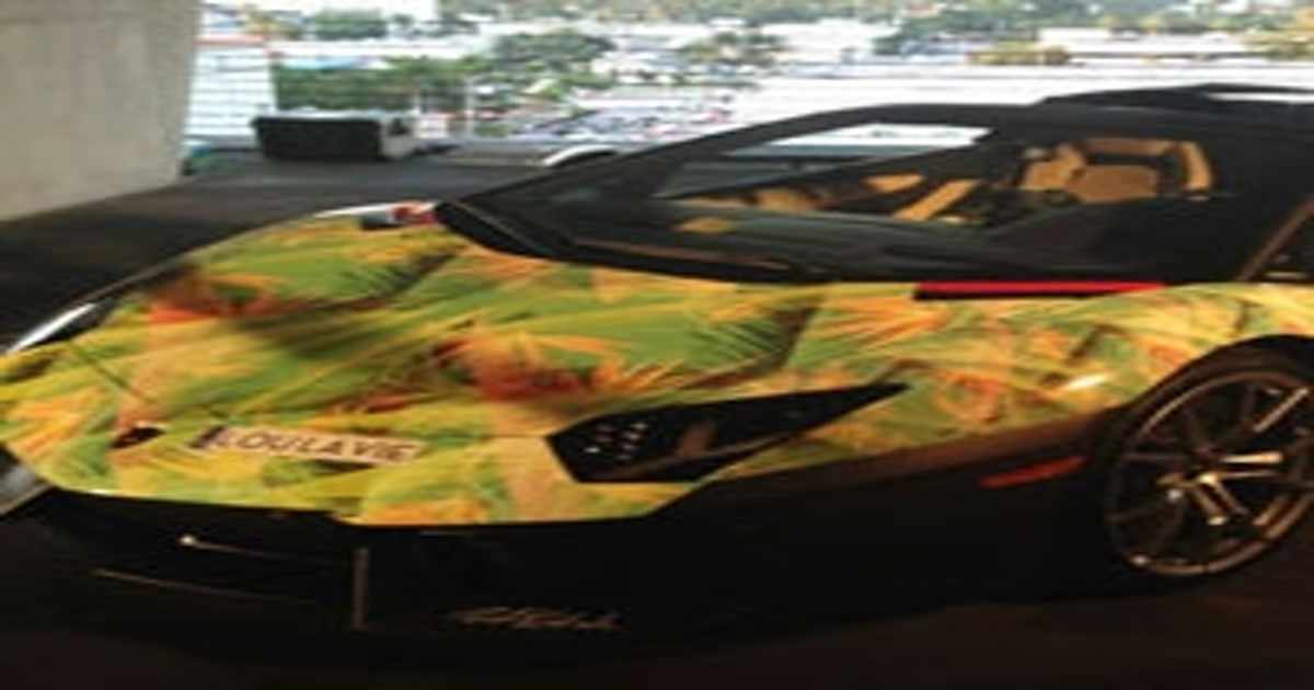 งามหยด Lamborghini Aventador ลายดอกของ LeBron James